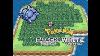 How To Find All The Rare Candies In Pokemon Black U0026 White