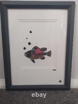 Rare Genuine Martin Allen CanArt with Laser Cut logo BASS Fish Design Framed
