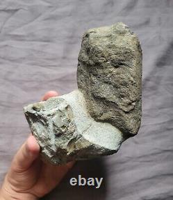 Rare Matrix Display Hadrosaur Vertebra Fossil Dinosaur Bone From Montana