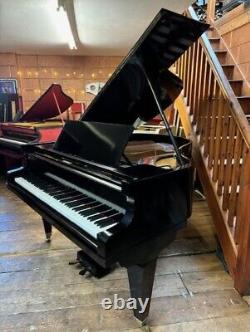 SALE! Rare 1929 Ehrbar, Vienna, V11A Black Baby Grand Piano CAN DELIVER