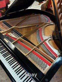 SALE! Rare 1929 Ehrbar, Vienna, V11A Black Baby Grand Piano CAN DELIVER