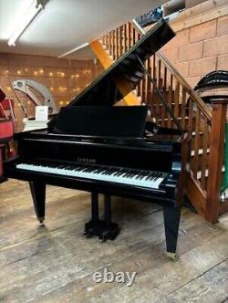 SALE! Rare 1929 Ehrbar, Vienna, V11A Black Baby Grand Piano CAN DELIVER