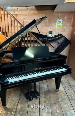 SALE! Rare 1929 Ehrbar, Vienna, V11A Black Baby Grand Piano CAN DELIVER