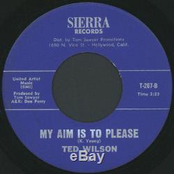 TED WILSON I Can't Take No More / My Aim Is To Please 45 (sm tol) rare Soul