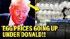 Trump Lies On Egg Prices Blow Up In His Face